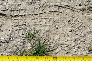 An image of a footprint on soil